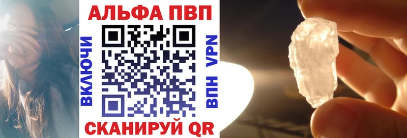 A PVP СК  Череповец 