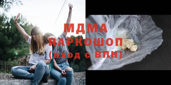 МДПВ Бородино