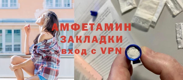 МДПВ Бородино