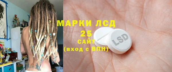 МДПВ Бородино