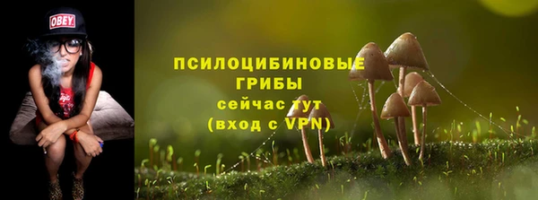 МДПВ Бронницы