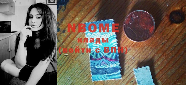 МДПВ Бородино