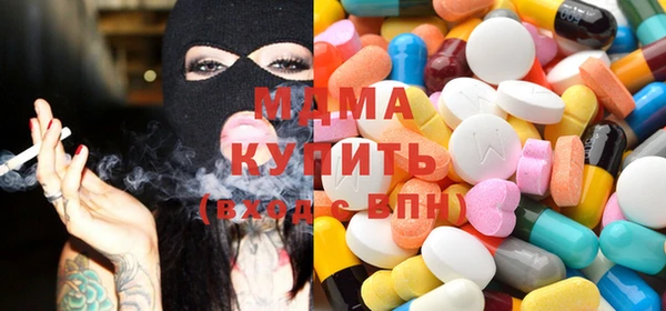 МДПВ Бородино