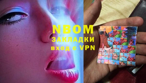 МДПВ Бородино