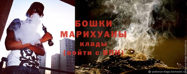 МДПВ Бронницы