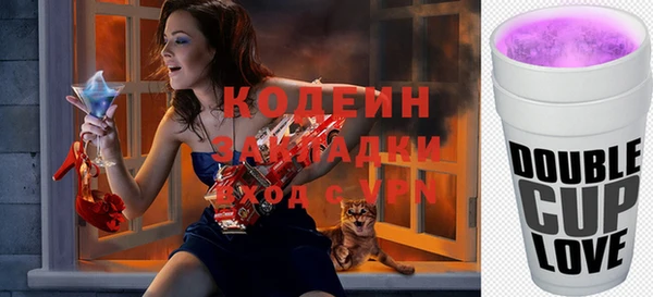 МДПВ Бородино