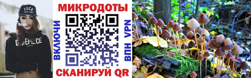 blacksprut ТОР  наркошоп  Череповец  Псилоцибиновые грибы Magic Shrooms 