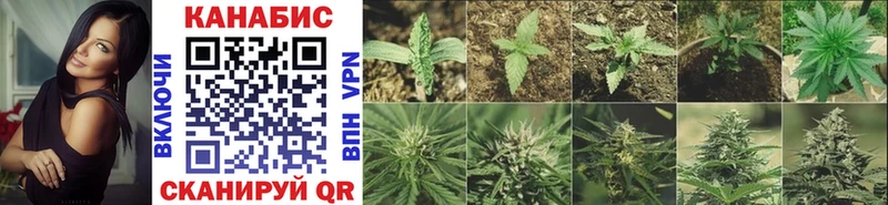 Шишки марихуана LSD WEED даркнет сайт Череповец